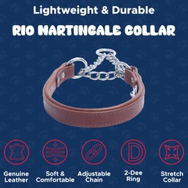 Leather Martingale Dog Collar, Choker, 10" x 5/8" (14" Fully Extended), Brown, 100% Leather (Rio) Stainless Steel. Read Description for Correct Sizing