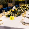 Luxshiny 10pcs Acrylic Tent Table Numbers 1-10 Double Side Numbered