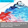 MEEDEN Professional Acrylic Paint Set - Artist Grade Acrylic Paints