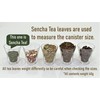 Kotodo Takahashi Seisakusho Tea Caddy White Birch Can, Flat Type,