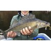 K.P Baits Skeleton Shad Rubber Fish, 3 Inches / 7.5