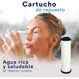 Cartucho de Repuesto Ceramico con Carbon Activado 2.5"x10" para Purificador de Agua y Filtro de AguaRepuesto Ecofilt One, Easy CT y otros 2.5x10" Elimina Bacterias y Cloro