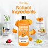Healov Persimmon Body Wash for Body Odor Control – Natural