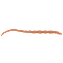 Berkley Kunstköder für das Spinning Angeln Gulp! Alive Néréis 6´´ 15 cm 7,3 oz Natural Forelle Wolfsbarsch