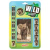 Wild Stationery Set - Baby Elephant from Deluxebase. These cute