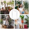 Plant Covers Freeze Protection | Clear Winter Plant Frost Bags