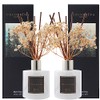Cocorrína Premium Reed Diffuser Set with Preserved Baby's Breath &