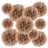 Tissue Paper Pom Poms, Brown Tissue Paper Flowers, Hanging Flower