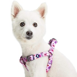 Blueberry Pet Essentials Step-in Spring Scent Inspired Garden Floral Dog Harness in Light Purple, Chest Girth 20" - 26", Medium, Adjustable Harnesses for Dogs