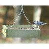 Birds Choice GSHPF100 Hanging Tray Feeder, Small