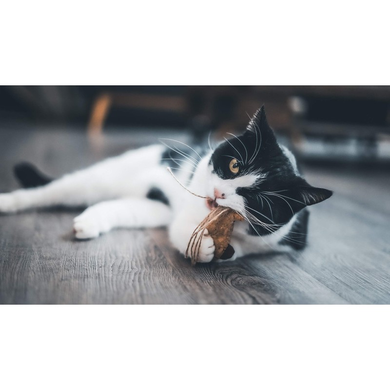 Aime 9cm Natural Cork Cat Toy with Catnip for Claws