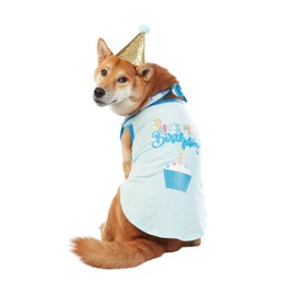 Best Furry Friends Birthday Party Set for Dogs, Birthday Boy, Large