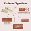 Enzimas digestivas con probióticos. Suplemento multienzimático natural avanzado para una