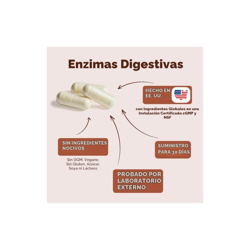 Enzimas digestivas con probióticos. Suplemento multienzimático natural avanzado para una