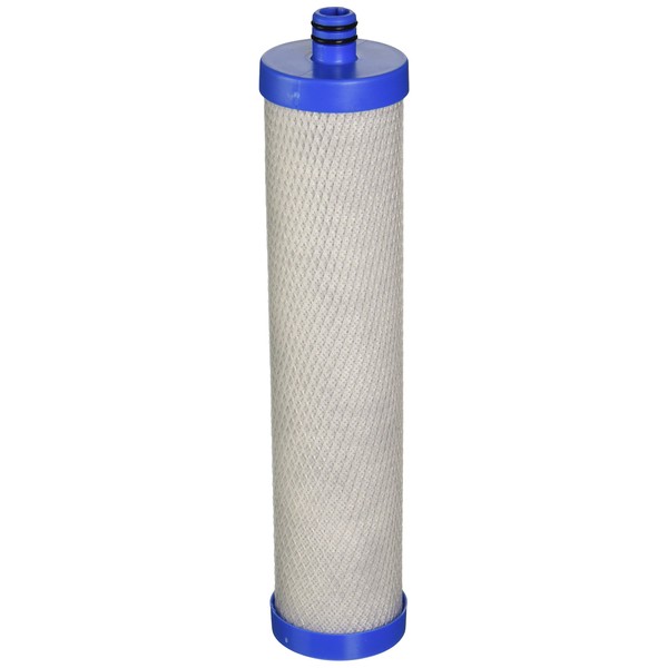 WaterSentinel Water Sentinel Wsk-1 Replacement Water Filters (2-Pack)
