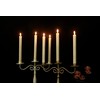 GenSwin Flameless Flickering Taper Candles with 2 Remote Controls and