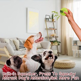 INSUM Squeaky Dog Balls - Squeaky Tennis Balls for Dogs, Blue | Medium - 2.5'', 6Pack