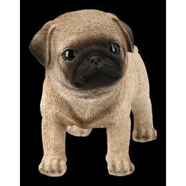 Figuren Shop GmbH Dog Figurine - Pug Puppy | Animal Figure, Decorative Figure, Decorative Item, Dog Puppy, Statue, Sculpture, Height 11.5 cm