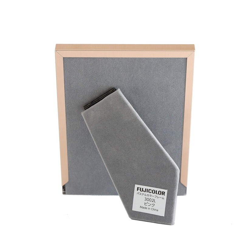 FUJICOLOR 506369 Pastel Color Frame, 11.8 gal (3002 L), Large,