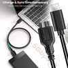 SaiTech IT Type C to Micro B (USB C Hard