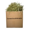 FarmerDavePetSupply 3 Lb First Cut Timothy Hay, Rabbit and Bunny