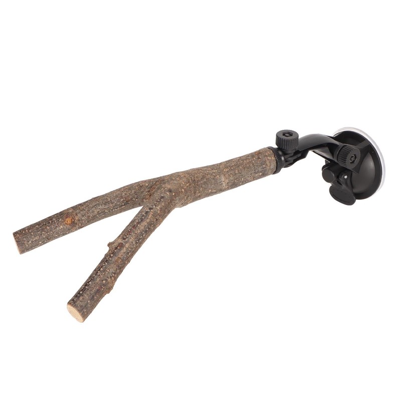 Wooden Perch, Easy Installation Interactive Beak Grinding Bird Branch Perch