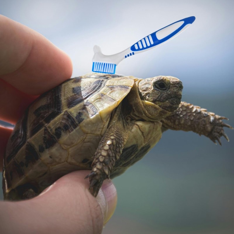 2Pcs Turtle Cleaning Brush Mini Double-Sided Cleaning Brush Tortoise Accessories