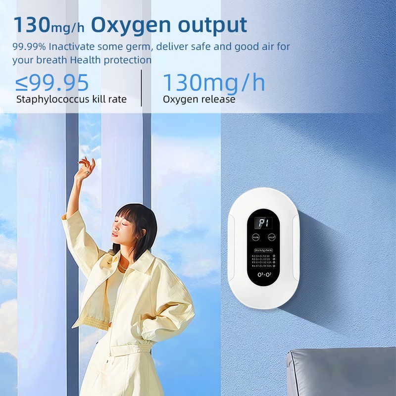 Negative Ion Air Purifier Eliminates Smoke and Odor Formaldehyde 4