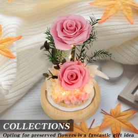 Flowers, Roses, Gifts–Flowers Bouquet & Forever Flowers for Delivery Prime - Preserved Flowers Birthday Gift for Women, Valentine's, Mother's Day, Christmas–Lasting Fresh Roses, Battery Included