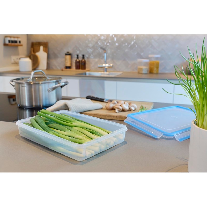 EMSA Clip & Close 508545 Rectangular Food Storage Container with