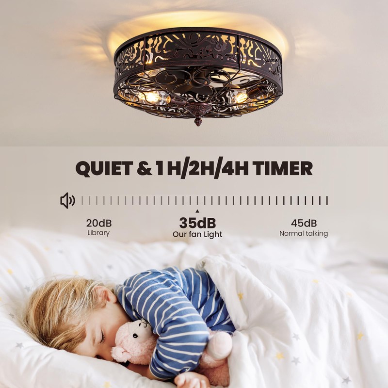 MOOONICHE 20" Ceiling Fan with Light and Remote, Farmhouse Bladeless
