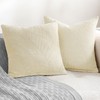 TOCOMOA Set of 2 Velvet Cushion Covers, 40 x 40