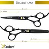 Candure Hairdressing Cutting Scissors Barber and Thinning Salon Shears Set