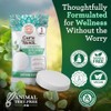 GuruNanda Eucalyptus Vapor Shower Tablets, 10 ct