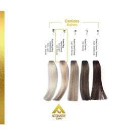 Tinte en crema Profesional ALTERNATIVE CARE - Tintes HAIR SOLUTION GOLD con su Oxidante en Crema. Coloración Permanente para el Cabello de USO PROFESIONAL. Tinte 90 g. + Oxidante 90 ml. (Fórmula 1+1). (9.1 RUBIO MUY CLARO CENIZA)
