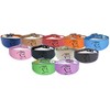 Dog Collar Italian Greyhound Collar Whippet Collar Greyhound Collar Padded