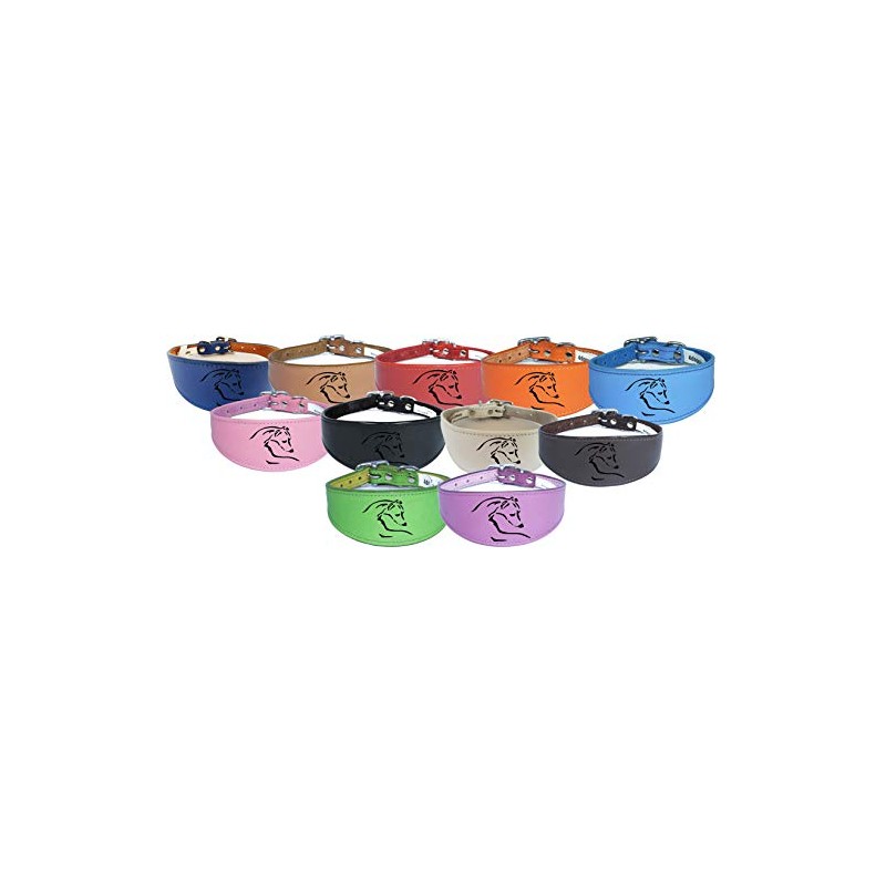 Dog Collar Italian Greyhound Collar Whippet Collar Greyhound Collar Padded
