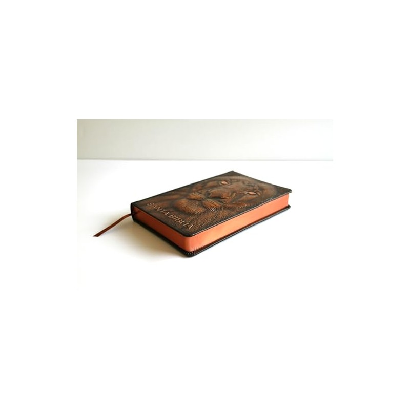 Biblia RVR 1960 Letra Grande Tamaño Manual León de Judá