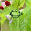 EOWVISN 40Pcs Plant Stem Training Clips And 10Pcs Vine Retaining