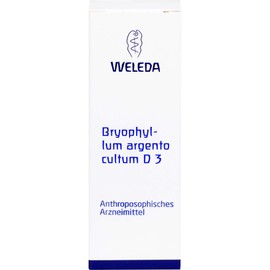 Bryophyllum Argento Cultum D3 Weleda Dil., 50 ml Solution