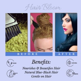 Hair Bloom Natural Blue Black Hair Color- Herbal Indigo w/False Daisy & Gooseberry Hair Color Powder- 12 individual sachets (10 gm each)- Reusable Brush & Tray Included by Pride of India