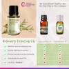 Rocky Mountain Oils Rosemary Essential Oil - 100% Pure and