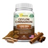 Asquared Nutrition Canela Ceylán Natural 1200mg 120 Cápsulas