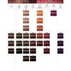 【Rdy Stock现货】Schwarzkopf Igora Royal Colour - 60ml Hair Dye Hair