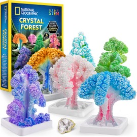 NATIONAL GEOGRAPHIC Craft Kits for Kids - Crystal Growing Kit - Grow a Crystal Garden in Just 6 Hours, Educational Craft Art Project, STEM Crafts for Girls Ages 8 9 10 11 & 12 (Amazon Exclusive)
