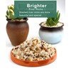 Washed Pea Gravel, 2lb Succulent and Cactus Plants Potting Pebbles,