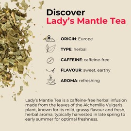 Teapro Lady Mantle Herbal Tea Loose Leaf 50g | Lady's Alchemilla Vulgaris Herb | Caffeine-Free Herbal Infusion | Period Cramp & Hormone Balance Tea for Women | Natural Lady Mantle Loose Tea
