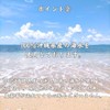 New Moon Salt KANDA Once a Month Premium Hamahiga Salt,