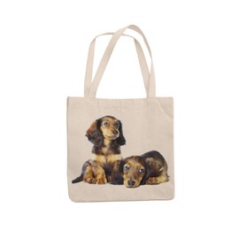 Super Lemon Dachshund Hound Tote Reuseable Shopping Bag Novelty Present Gift Printed Eco-Friendly Stylish Long Handled Tote Shoulder Bag, Great Gift Or Present for Any Dog Lover…