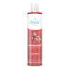 Shampoo Corporal Antioxidante Arandano Shelo Nabel